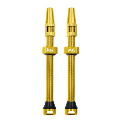 Gold 2024 tubeless valves