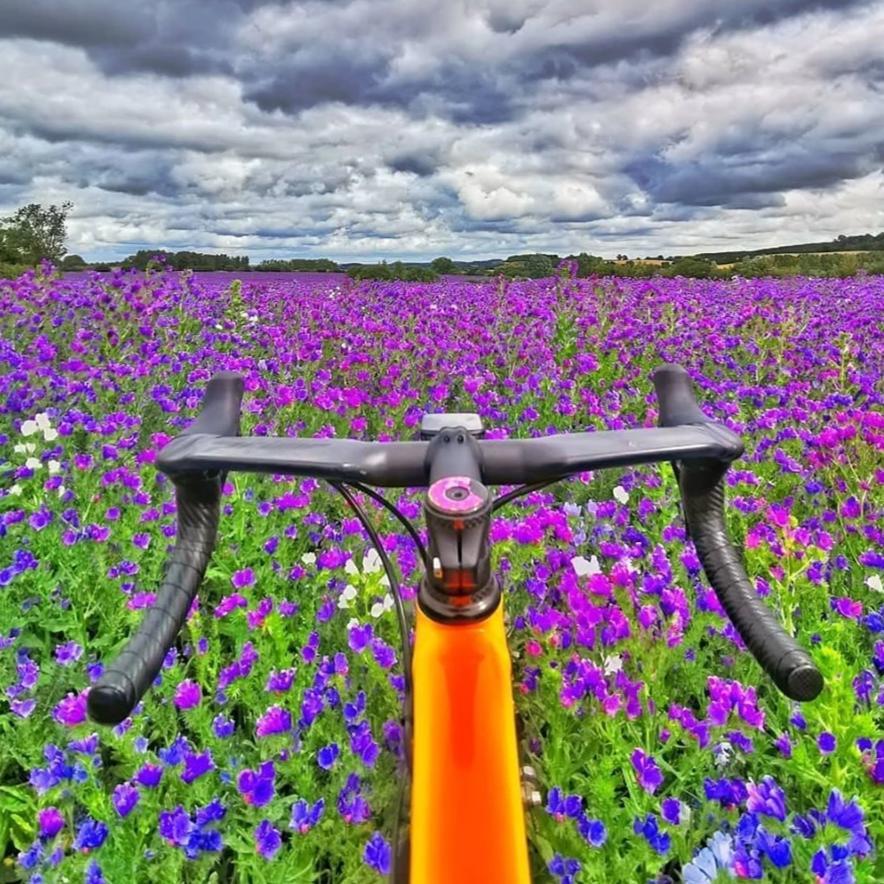 Lightweight, carbon fibre Ahead stem top cap with pink doughnut design, fitted to bicycle in field of flowers
